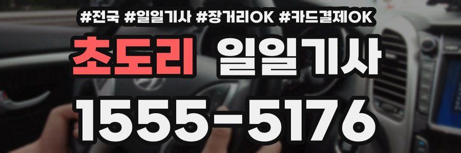 초도리 일일기사