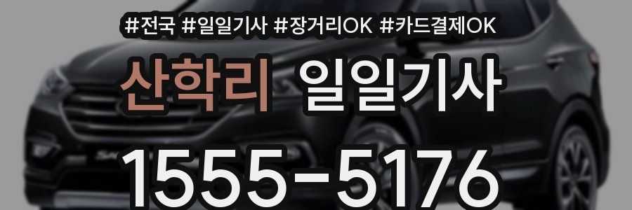 산학리 일일기사