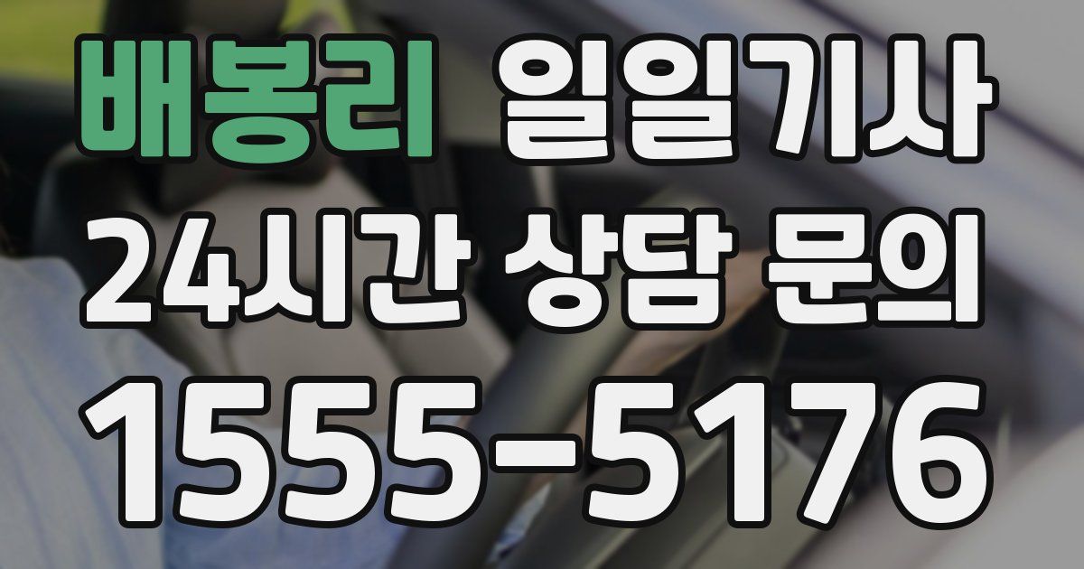 일일대리기사