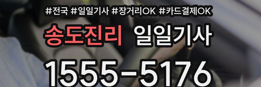 송도진리 일일기사