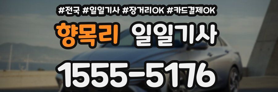 향목리 일일기사