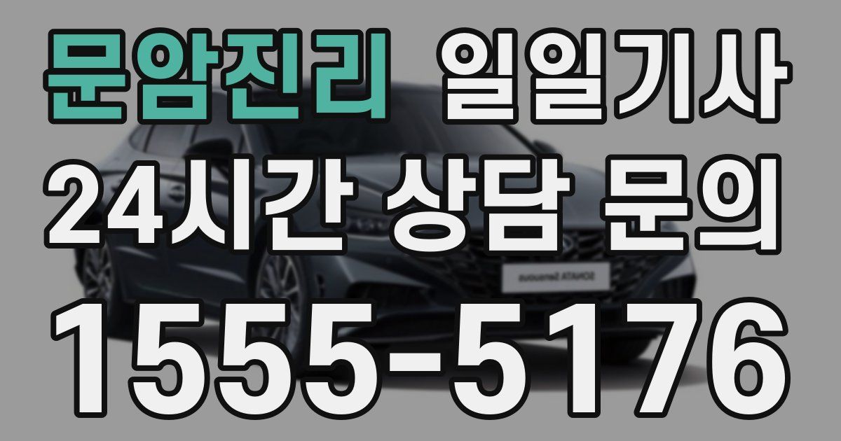 일일대리기사