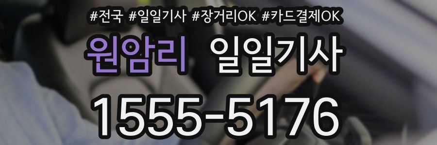 원암리 일일기사