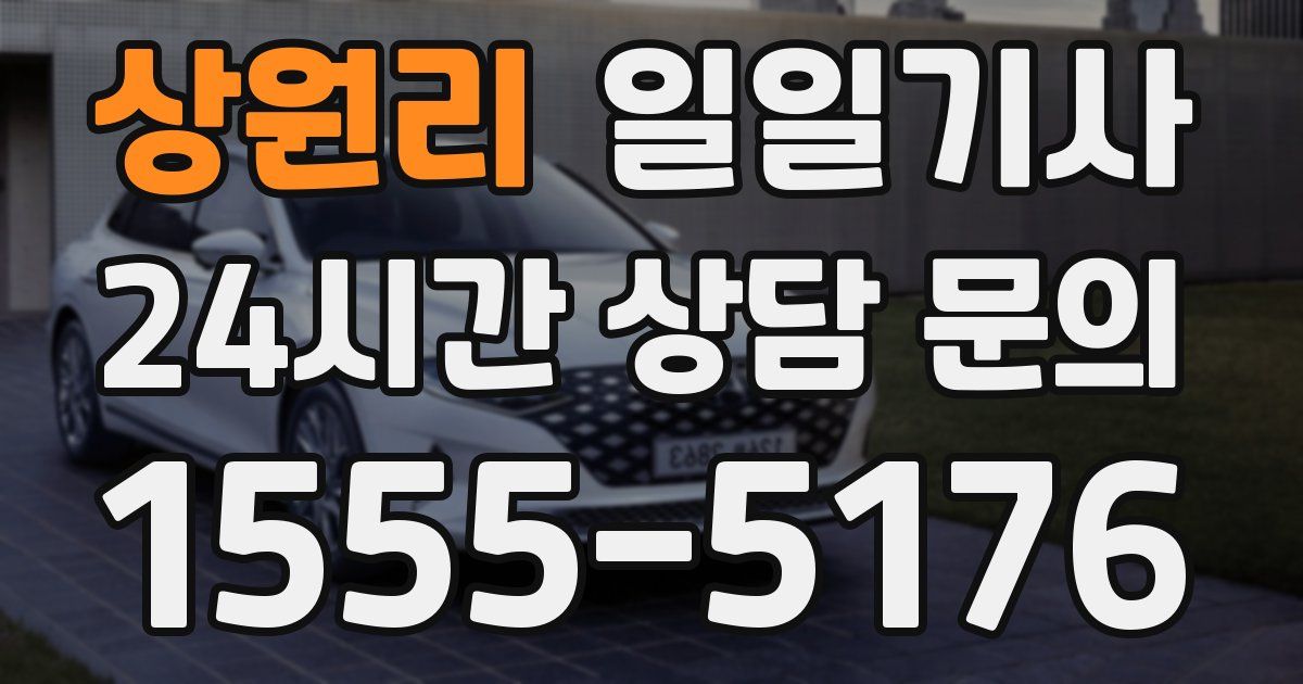 일일대리기사