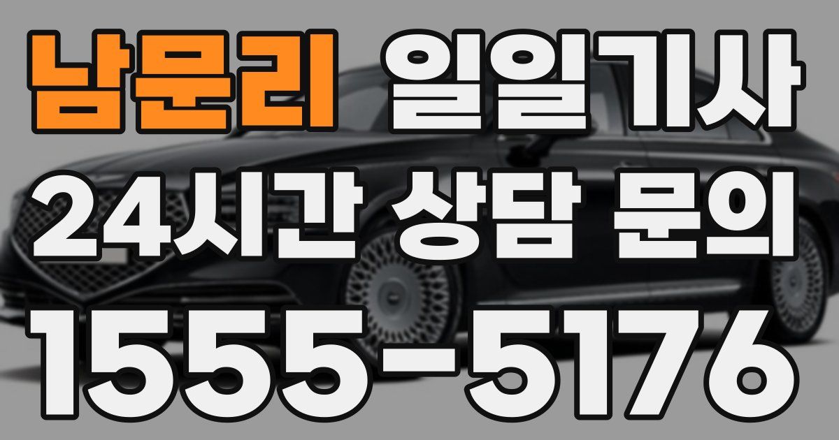일일대리기사