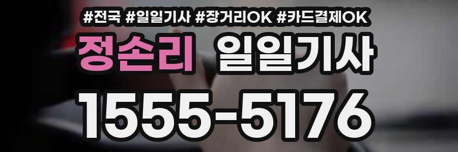 정손리 일일기사