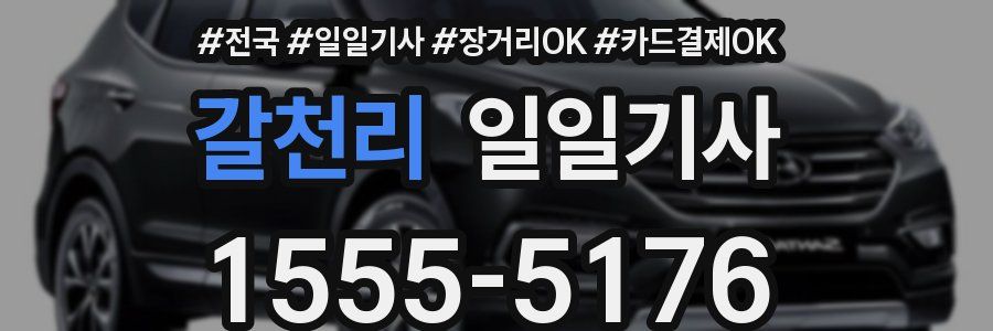 갈천리 일일기사
