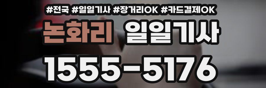 논화리 일일기사