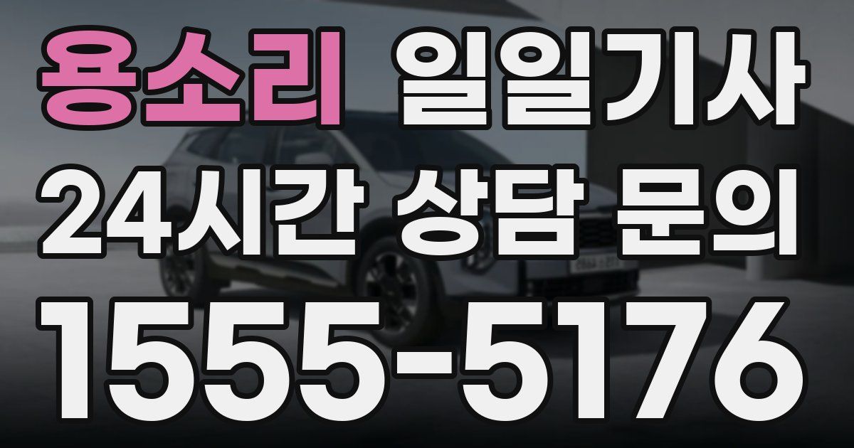 일일대리기사