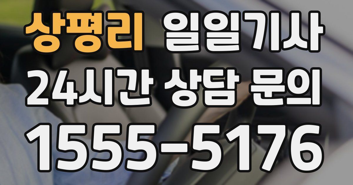 일일대리기사