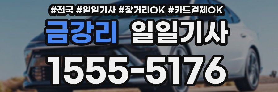 금강리 일일기사