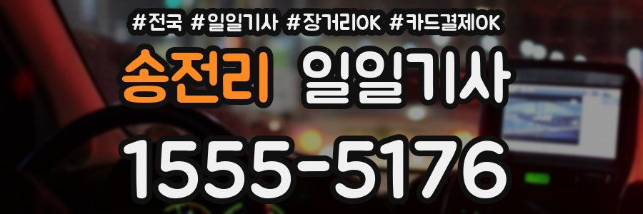 송전리 일일기사