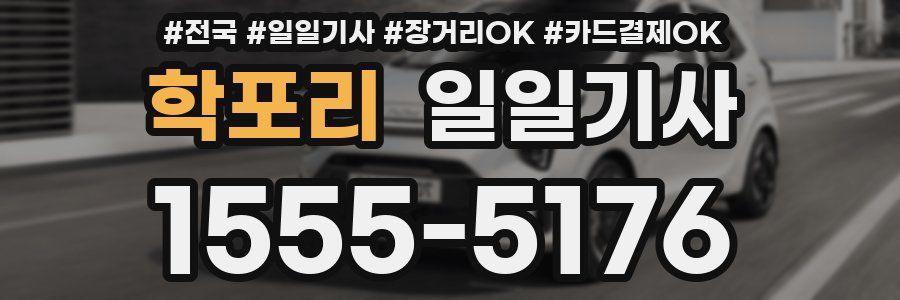 학포리 일일기사