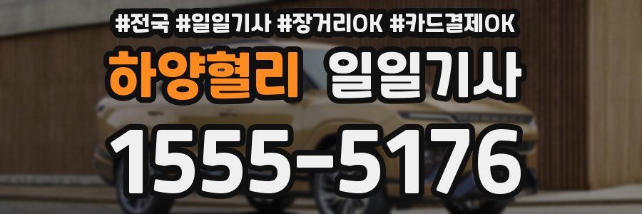 하양혈리 일일기사