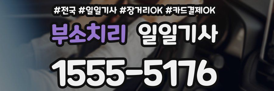 부소치리 일일기사