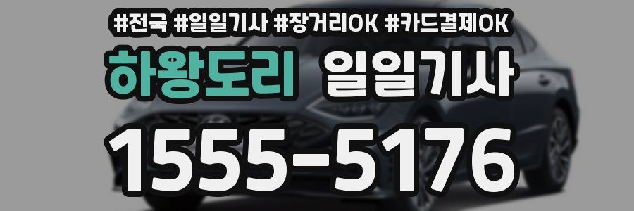 하왕도리 일일기사