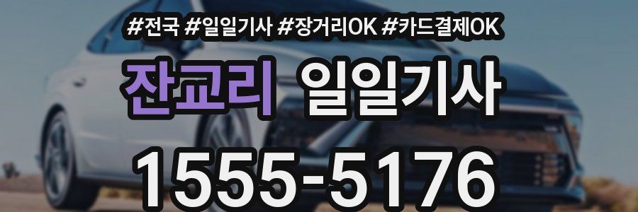 잔교리 일일기사