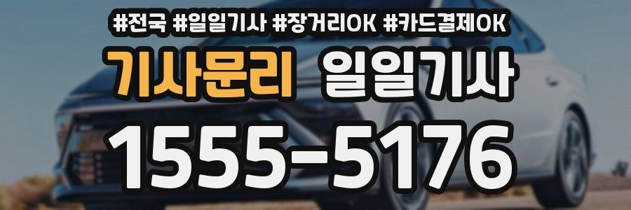 기사문리 일일기사