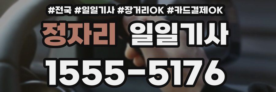 정자리 일일기사