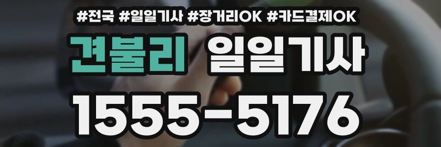 견불리 일일기사