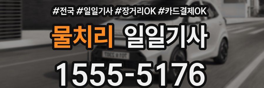 물치리 일일기사
