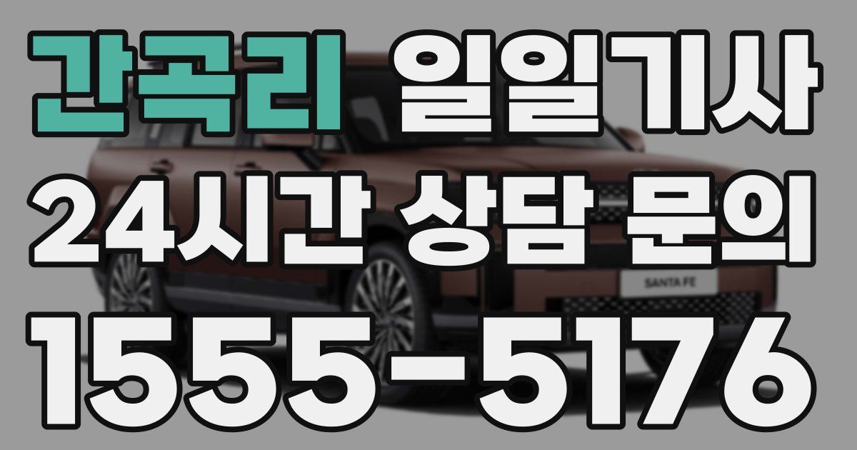 일일대리기사