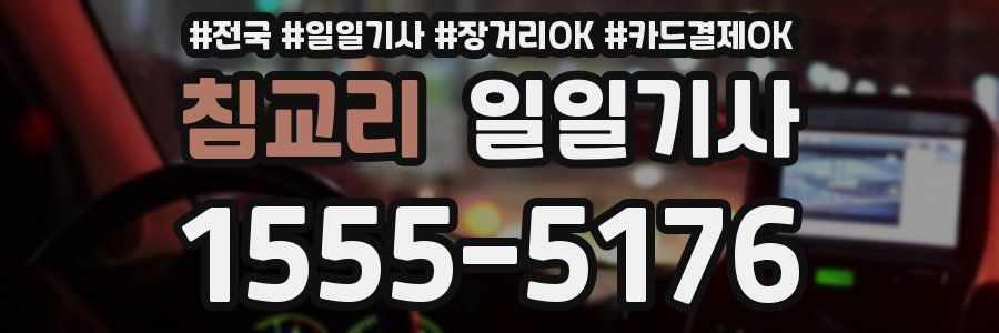 침교리 일일기사