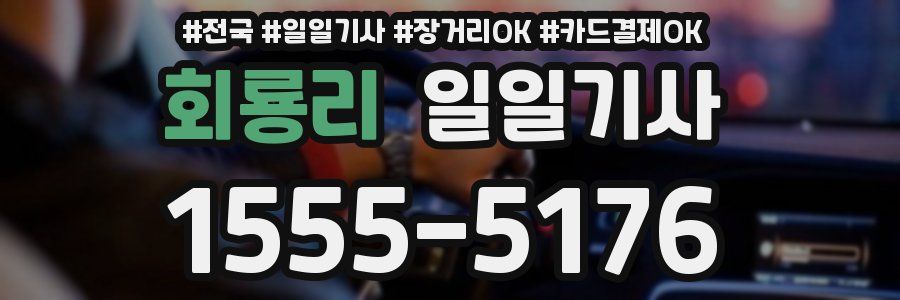 회룡리 일일기사