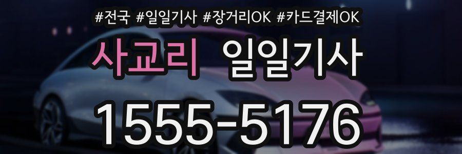 사교리 일일기사