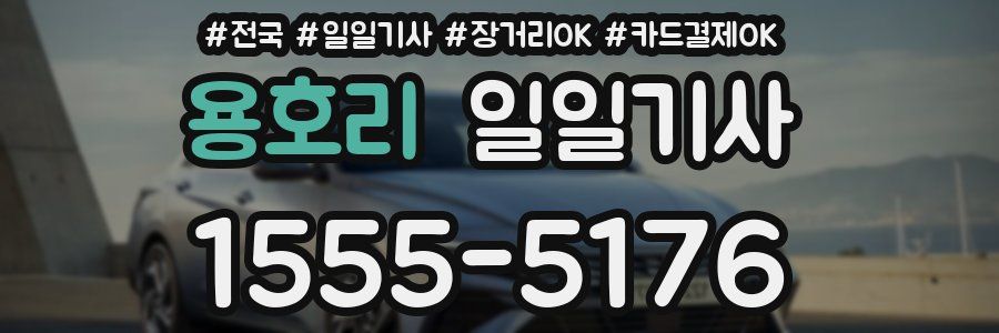 용호리 일일기사