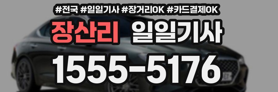 장산리 일일기사