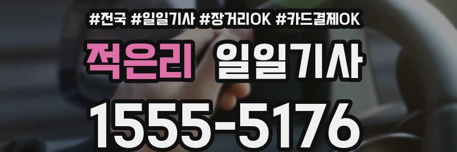 적은리 일일기사