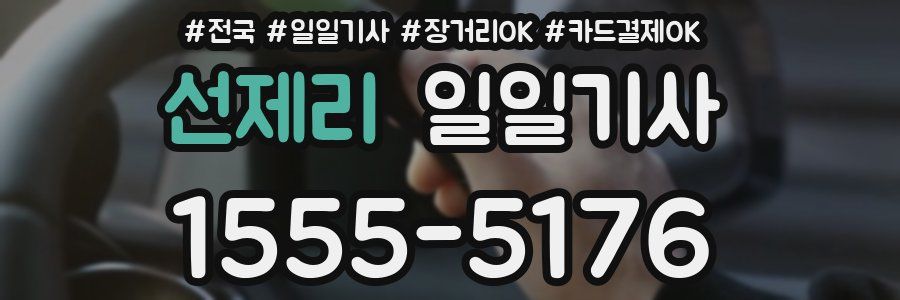 선제리 일일기사