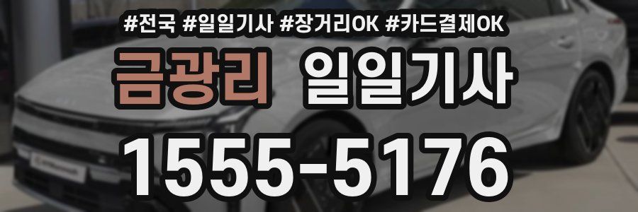 금광리 일일기사