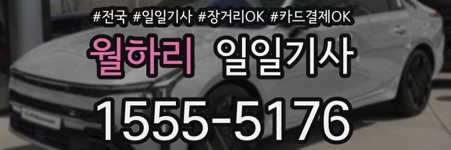 월하리 일일기사