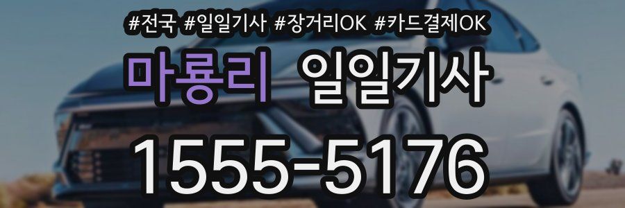 마룡리 일일기사