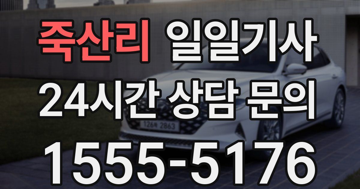 일일대리기사