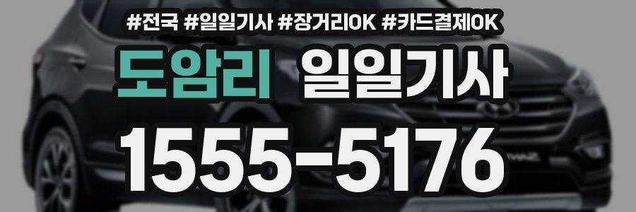 도암리 일일기사
