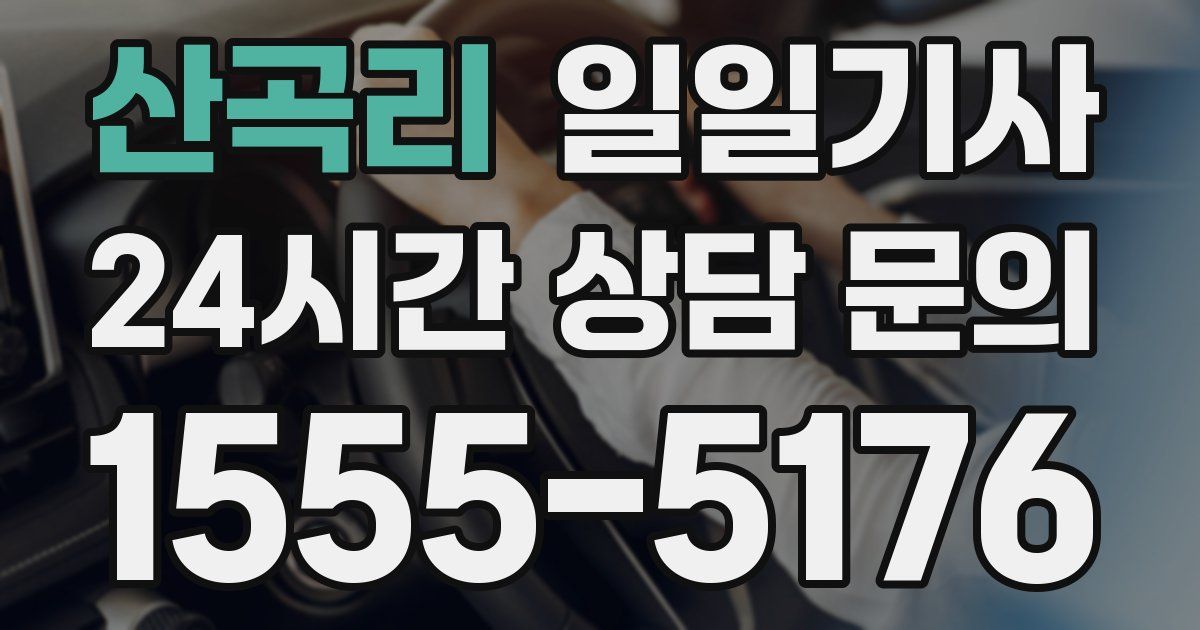 일일대리기사