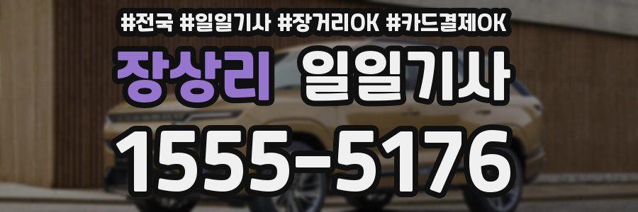 장상리 일일기사