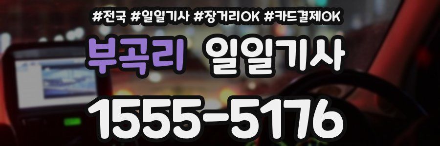 부곡리 일일기사