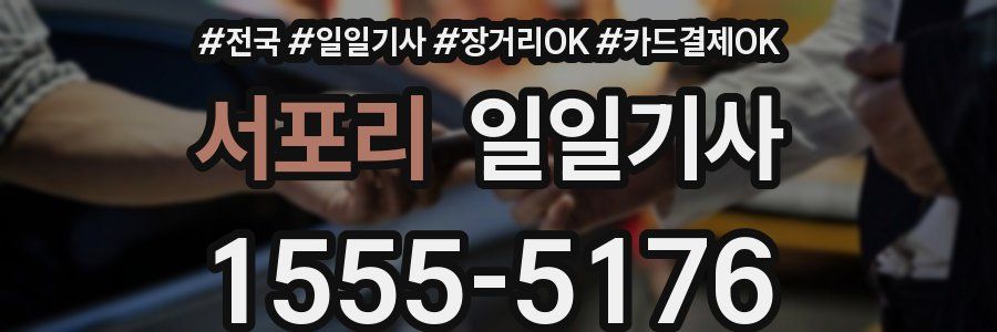 서포리 일일기사