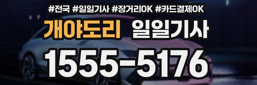 개야도리 일일기사