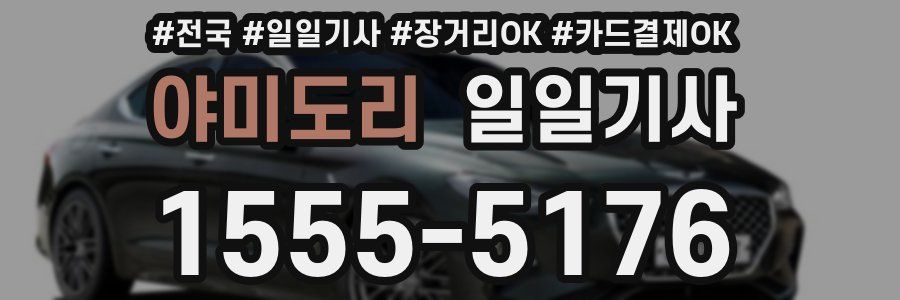 야미도리 일일기사