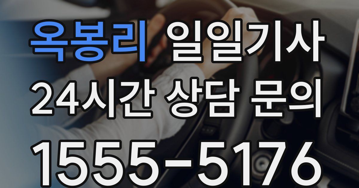 일일대리기사