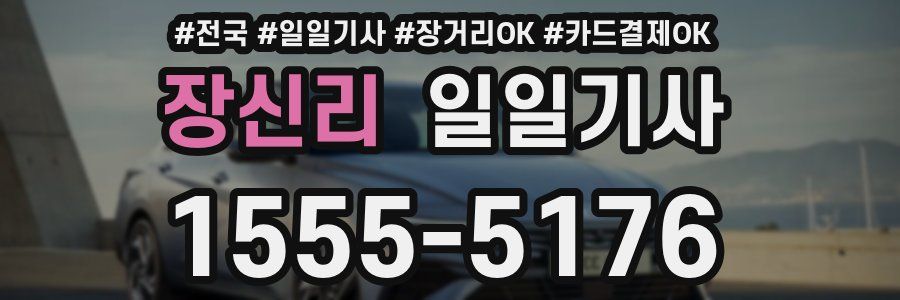 장신리 일일기사