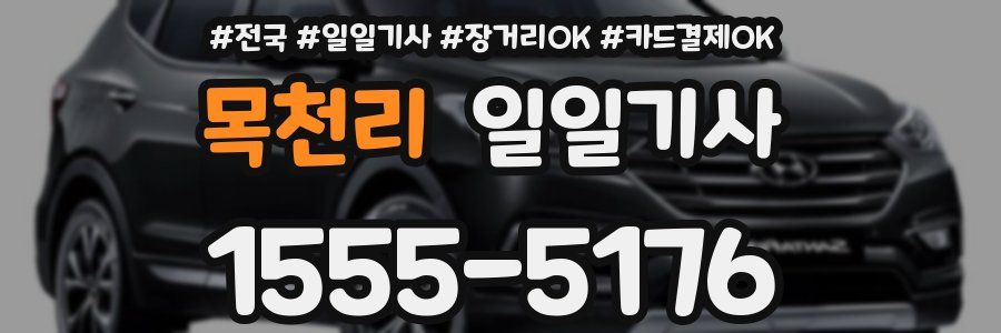 목천리 일일기사