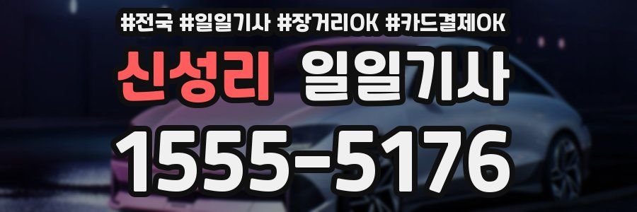 신성리 일일기사