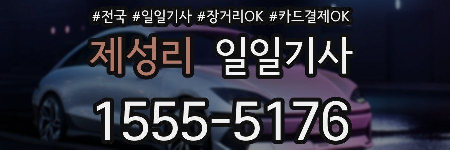 제성리 일일기사