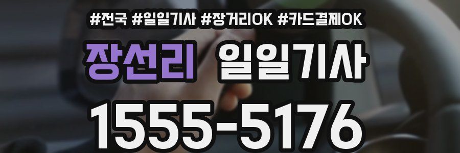 장선리 일일기사